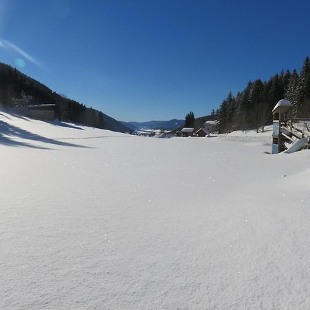 Studio La Resilience, Au Pied Des Pistes A Autrans 外观 照片